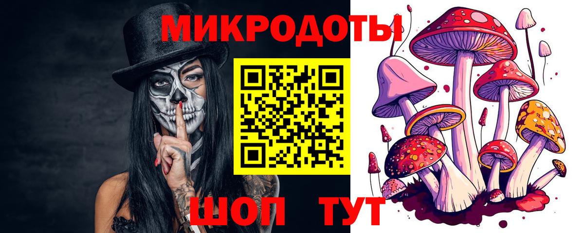 Галлюциногенные грибы Psilocybe Нижневартовск